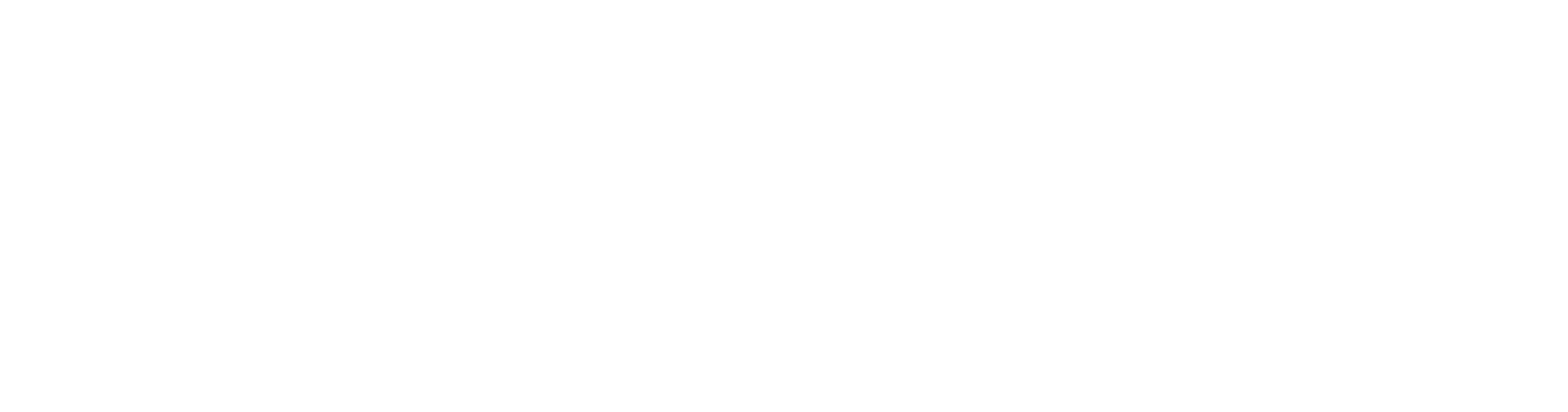 OAISIS